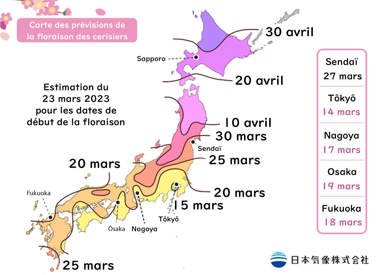 Calendrier 2023 de la floraison des cerisiers