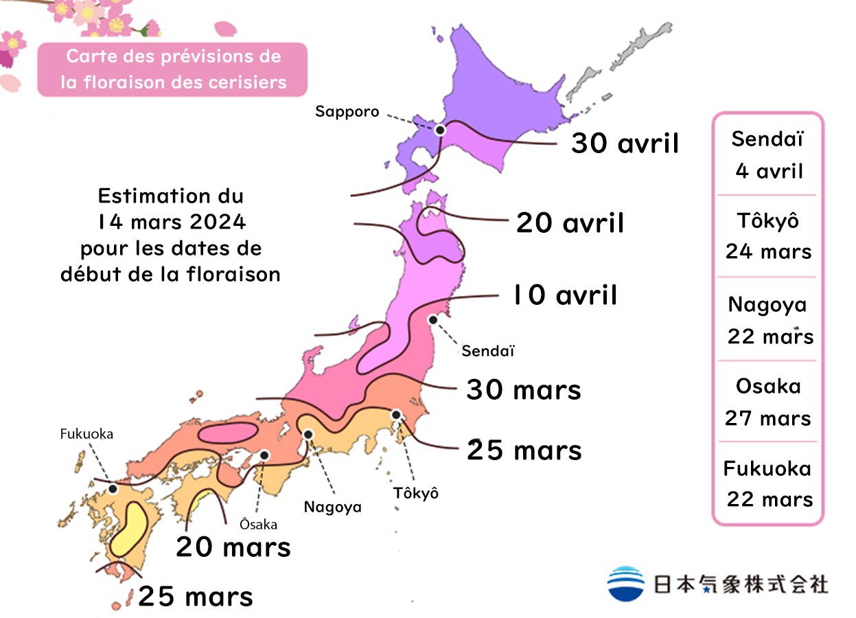 2024 cherry blossom calendar