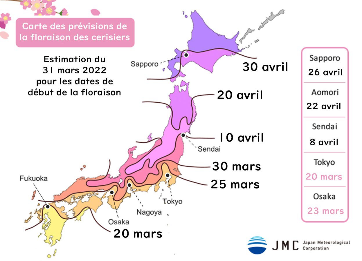 Calendrier 2022 de la floraison des cerisiers