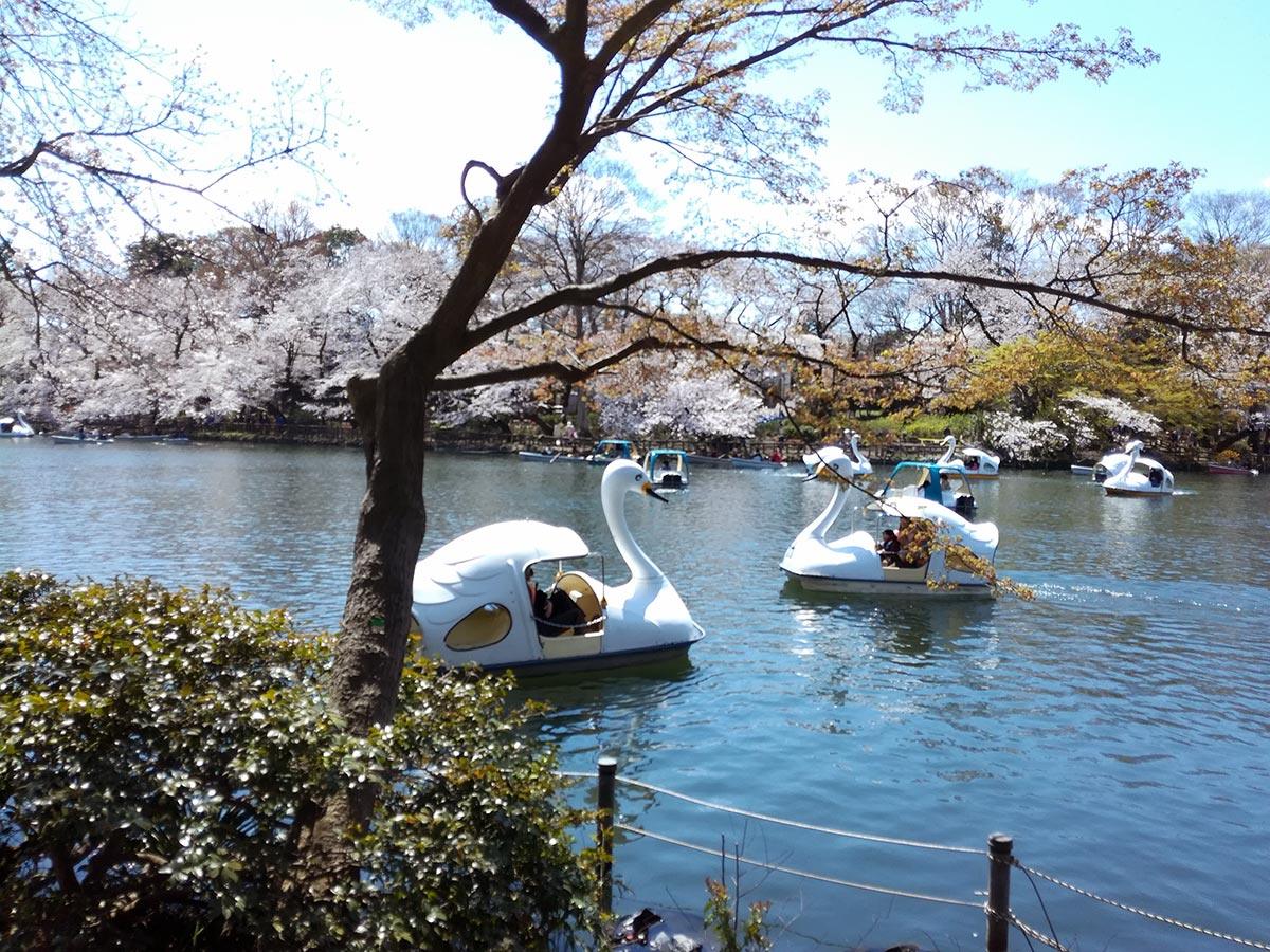 Ueno Park