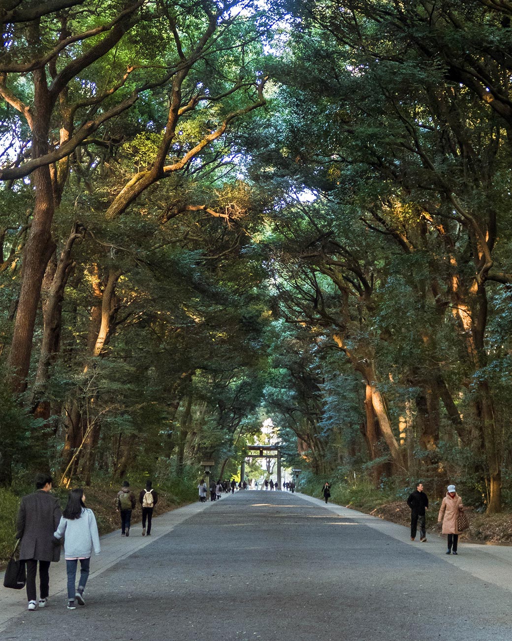 Meiji Jingu Sanctuary