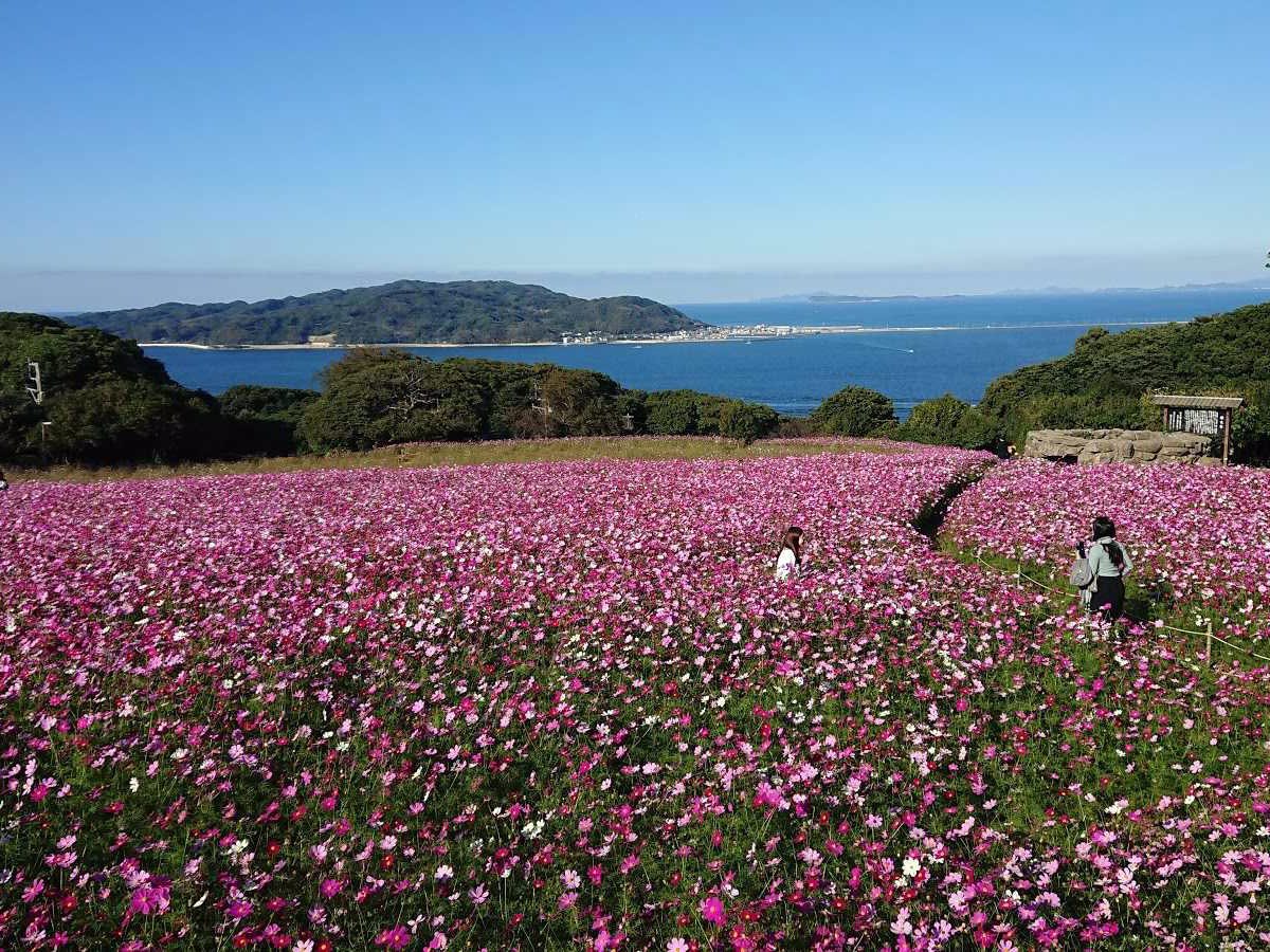 Nokonoshima Park